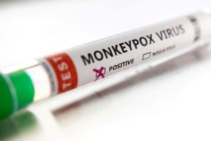 Ευλογιά των πιθήκων: Συνεχίζεται η αύξηση των κρουσμάτων-Παγκόσμια επαγρύπνηση
