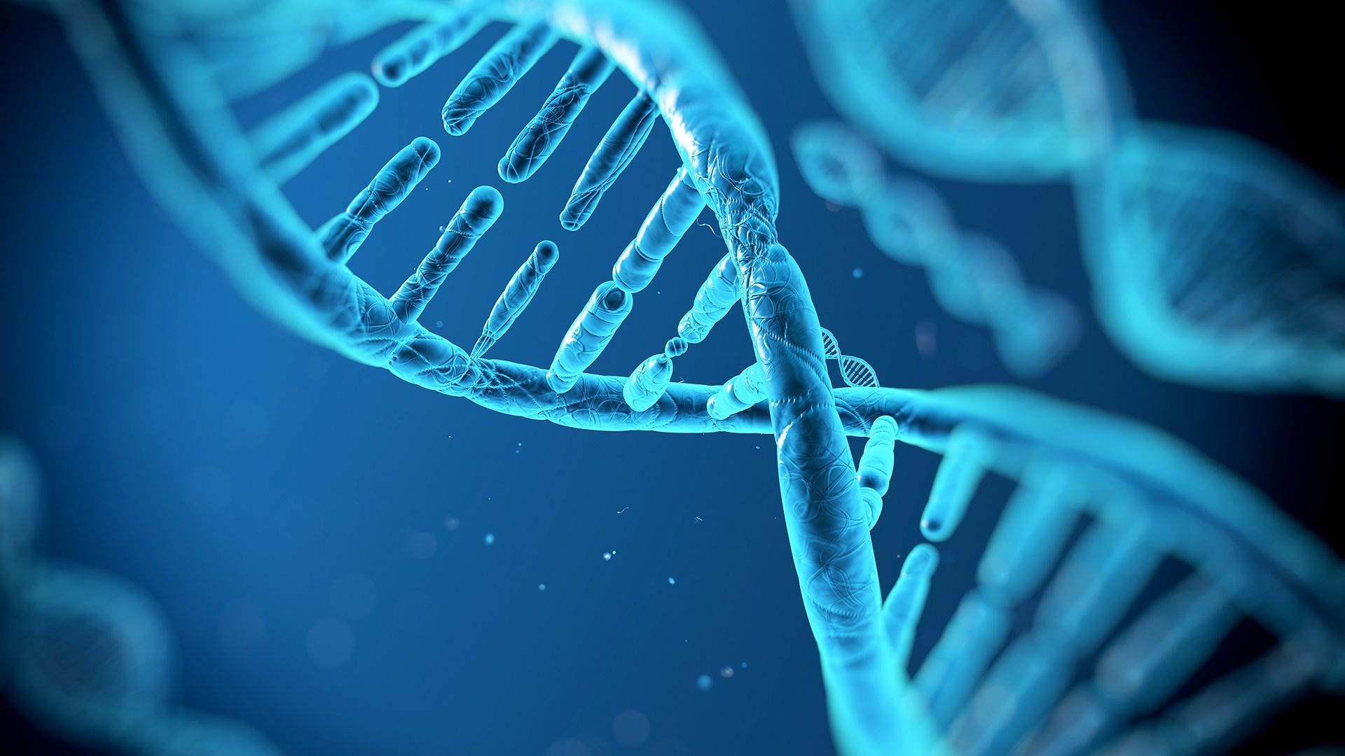 Το σώμα «θυμάται» τη φτώχεια και αλλάζει το DNA του!