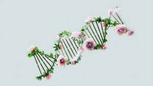 Ανοίγει ο δρόμος για το πρώτο τεστ DNA που εντοπίζει την προδιάθεση για δεκάδες μορφές καρκίνου