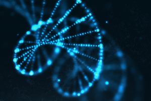 &Nu;&alpha;&nu;&omicron;&sigma;&omega;&mu;&alpha;&tau;ί&delta;&iota;&omicron; &pi;&omicron;&upsilon; &lambda;&epsilon;&iota;&tau;&omicron;&upsilon;&rho;&gamma;&epsilon;ί &sigma;&alpha;&nu; &tau;&omicron; &delta;&eta;&mu;&omicron;&phi;&iota;&lambda;έ&sigmaf; &pi;&alpha;&iota;&chi;&nu;ί&delta;&iota; Pacman &kappa;&alpha;&tau;&alpha;&tau;&rho;ώ&epsilon;&iota; &tau;&iota;&sigmaf; &alpha;&theta;&eta;&rho;&omega;&mu;&alpha;&tau;&iota;&kappa;έ&sigmaf; &pi;&lambda;ά&kappa;&epsilon;&sigmaf;