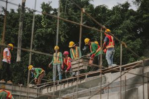 Έρευνα: Πώς το επάγγελμα των αδρών συνδέεται με τη γονιμότητά τους;